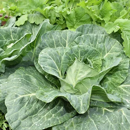 팜스테이 Hof Erath *