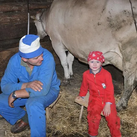 Hof Erath Au (Bregenz)