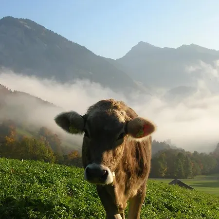 Hof Erath * Au (Vorarlberg)