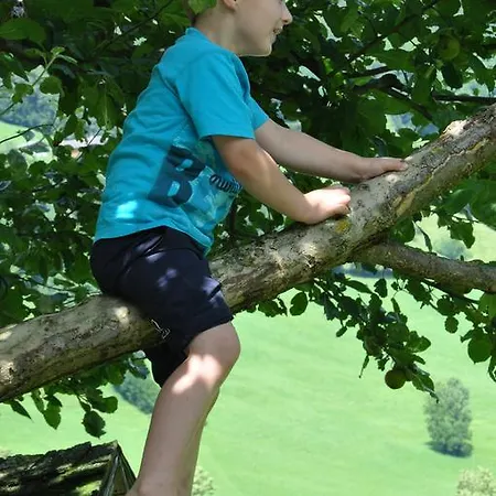 팜스테이 Hof Erath Au (Bregenz)