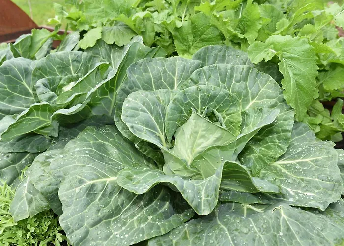 Farm stay Hof Erath *