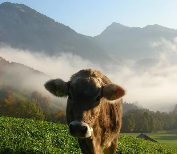 Hof Erath * Au (Bregenz)